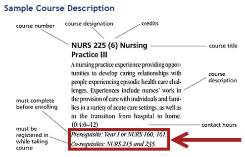 Sample Course Description